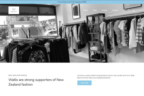 ecommerce shopify website build